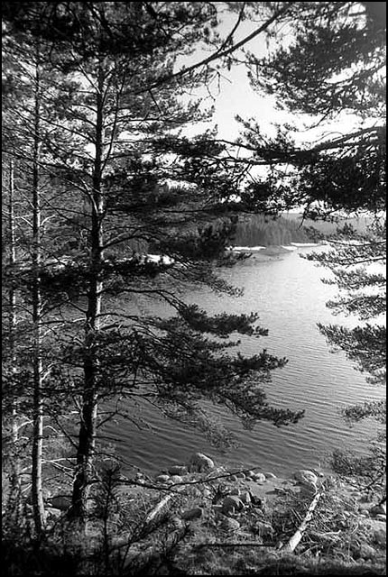 photo "Spring" tags: black&white, landscape, water