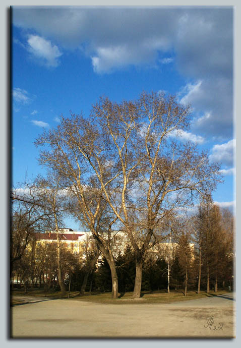 photo "Chelyabinsk, late april (photo #1)" tags: landscape, architecture, spring