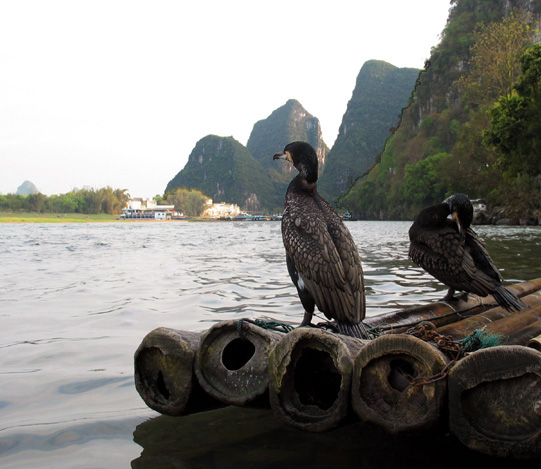 photo "waiting for a fish" tags: travel, landscape, Asia, water