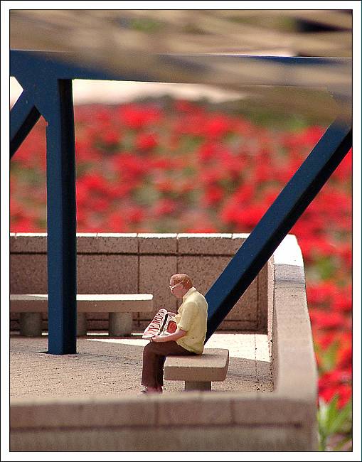 photo "A little life. The reader" tags: macro and close-up, genre, 