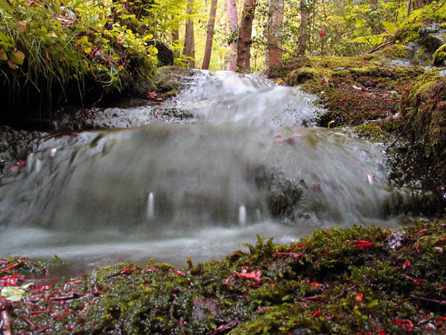 photo "small waterfall" tags: landscape, forest, water