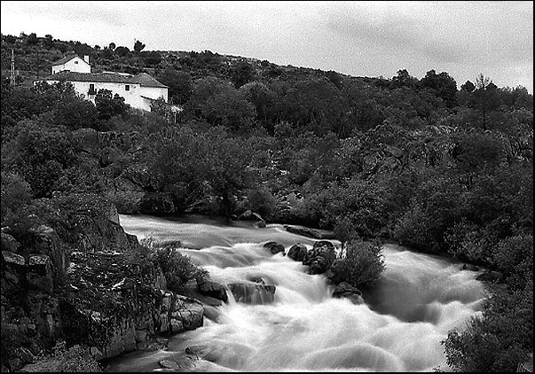 photo "wild river" tags: landscape, water