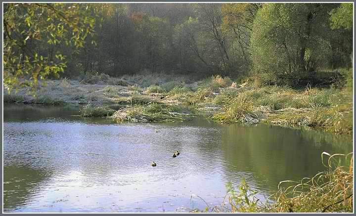 photo "The autumn only began" tags: landscape, autumn, water