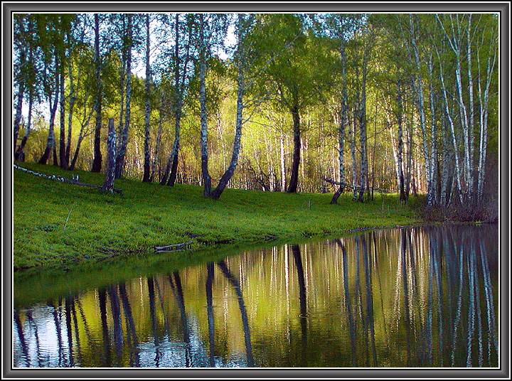 photo "Pond in the forest" tags: landscape, spring