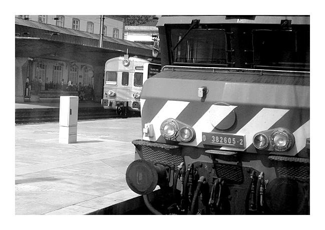 photo "Horse power" tags: black&white, 