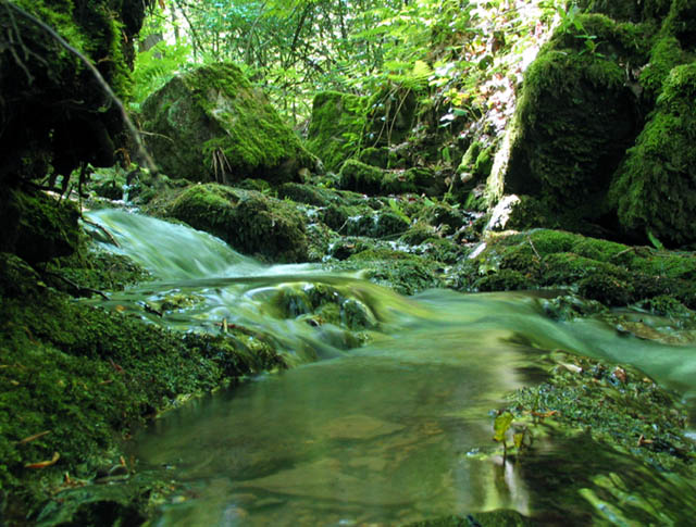 photo "fairy waterfall" tags: landscape, forest, water