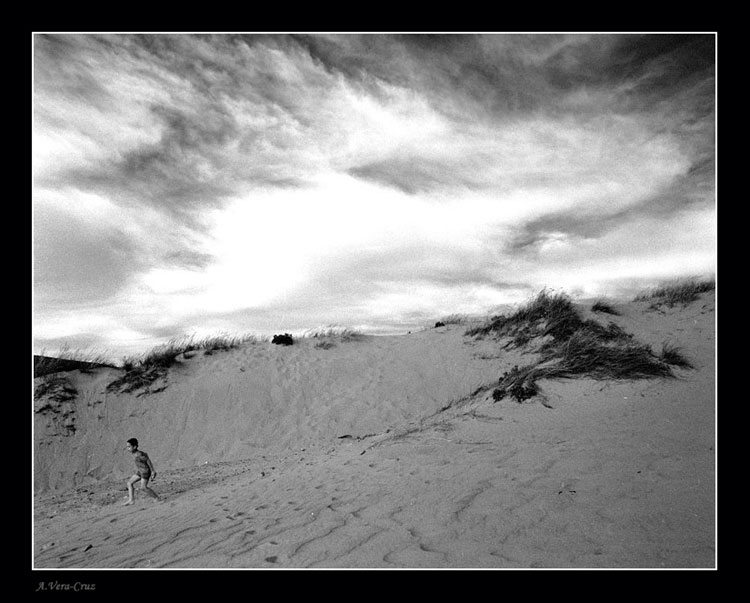 photo "Playing at the Dunes" tags: misc., 