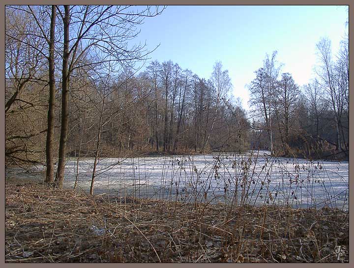 photo "Spring" tags: landscape, forest, water