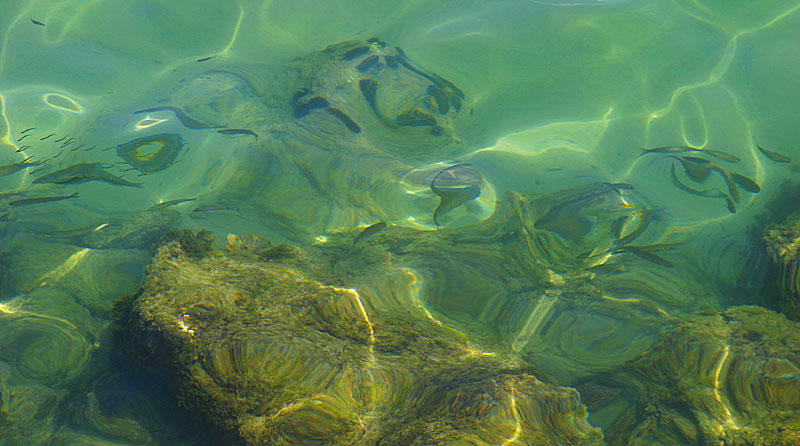 фото "Ming in water" метки: природа, путешествия, Азия