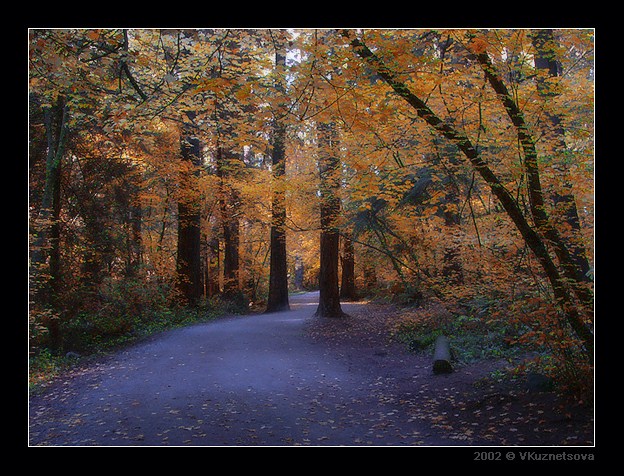 photo "*****" tags: landscape, autumn, forest