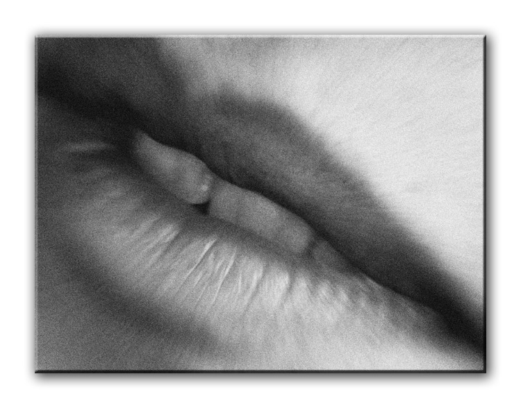 photo "In my dreams i kiss a thousand times this Lips" tags: macro and close-up, montage, 