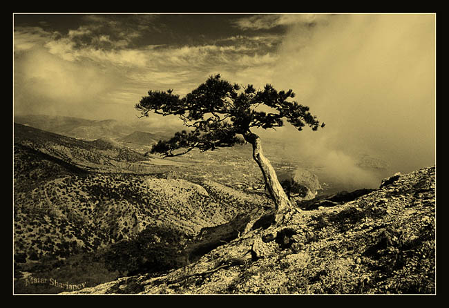 photo "*" tags: landscape, black&white, mountains
