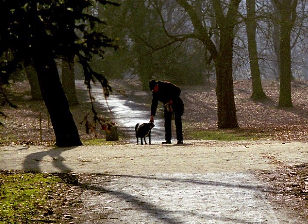 Jean luc ponty a taste обложки. Улица багдад в стамбуле. Sunday walk. Sunday walk. Фаусто зонаро картины.