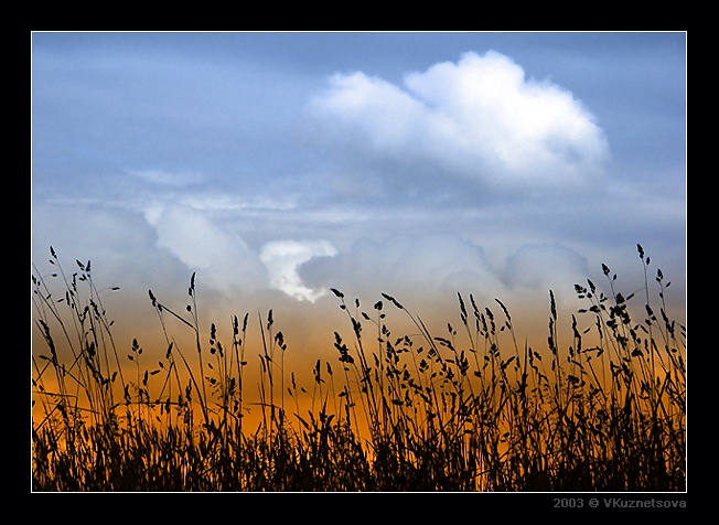 photo "Summer etude" tags: landscape, montage, clouds