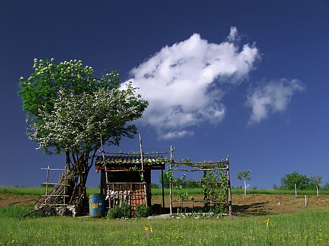 photo "Little Farm" tags: landscape, clouds, spring