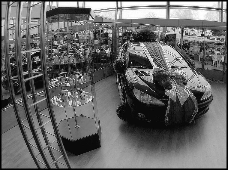 photo "Fish-eye surprise" tags: still life, reporting, 