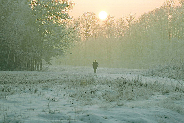 photo "Walk in winter" tags: landscape, winter
