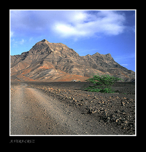 photo "Drying Land - Contrasts" tags: misc., 