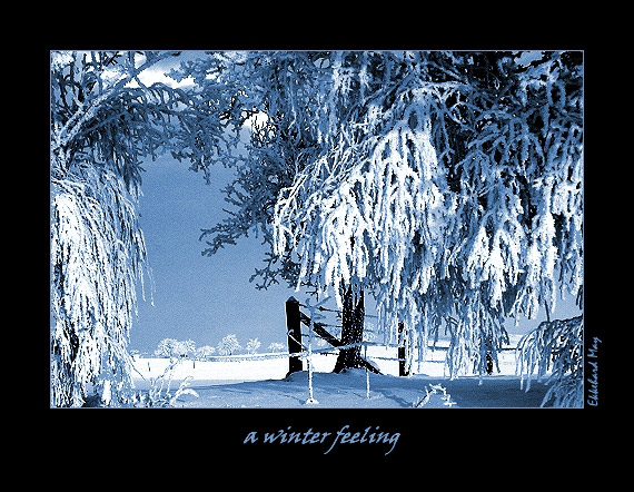 photo "a [winter] feeling..." tags: landscape, winter