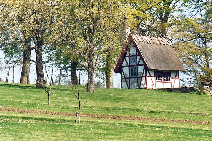 photo "The House" tags: landscape, spring