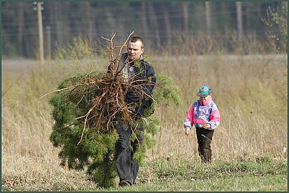 photo "Tree from career" tags: genre, 