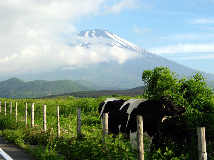 фото "Pastoral Mountain" метки: пейзаж, природа, горы, домашние животные