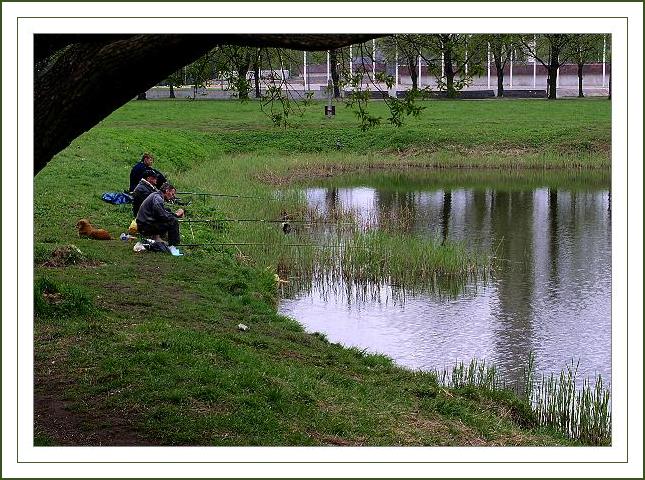 фото "Три рыбака и собака!" метки: природа, жанр, 