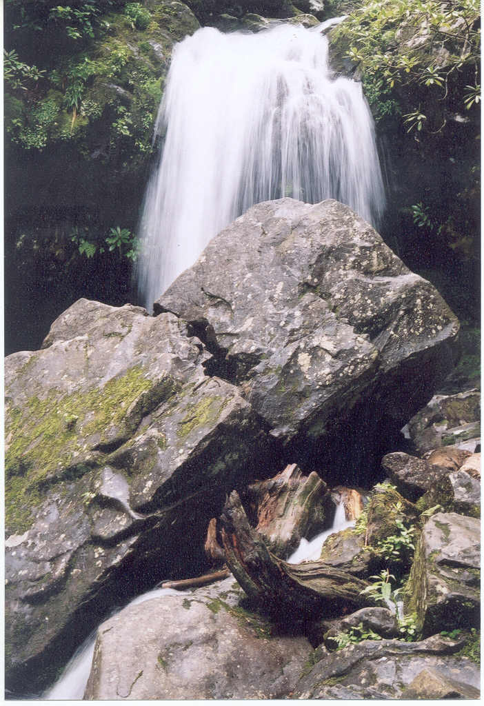 фото "grotto falls" метки: пейзаж, лес
