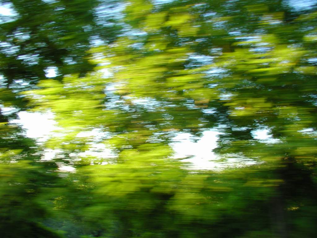 photo "180 kmh" tags: travel, 