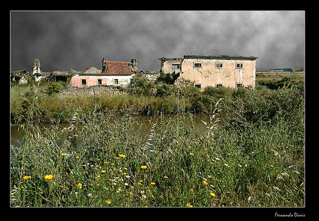 фото "Abandoned House" метки: архитектура, пейзаж, 