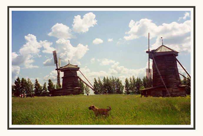 фото "Happy dog from Suzdal" метки: пейзаж, 