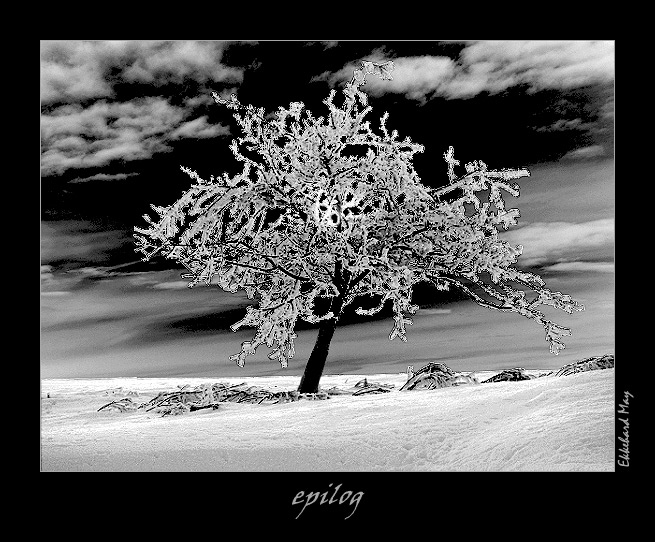 photo "epilog" tags: landscape, winter