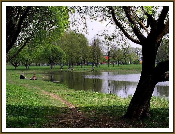 photo "Fish pond." tags: nature, 