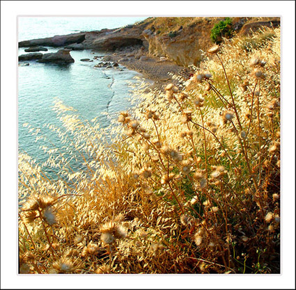 photo "The beach" tags: landscape, water