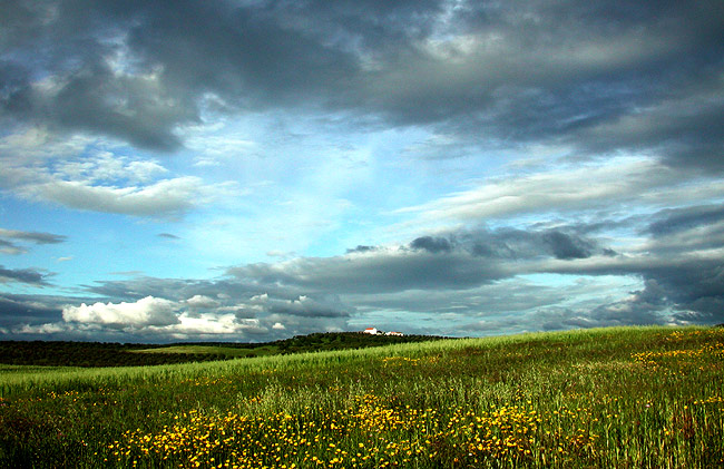 photo "Alentejo`s fields (Portugal)" tags: landscape, travel, Europe, spring