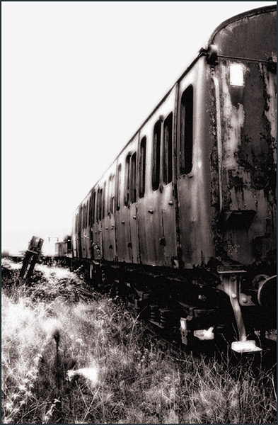 photo "Rotting on the side" tags: black&white, 