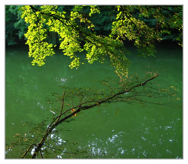 photo "Emerald Lake" tags: landscape, water