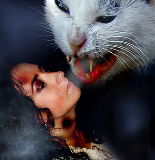 фото "Hellcat" метки: портрет, женщина