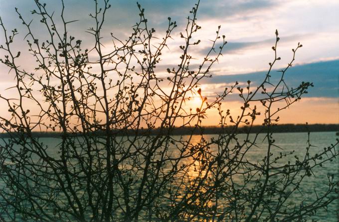 photo "Untitled photo" tags: landscape, sunset