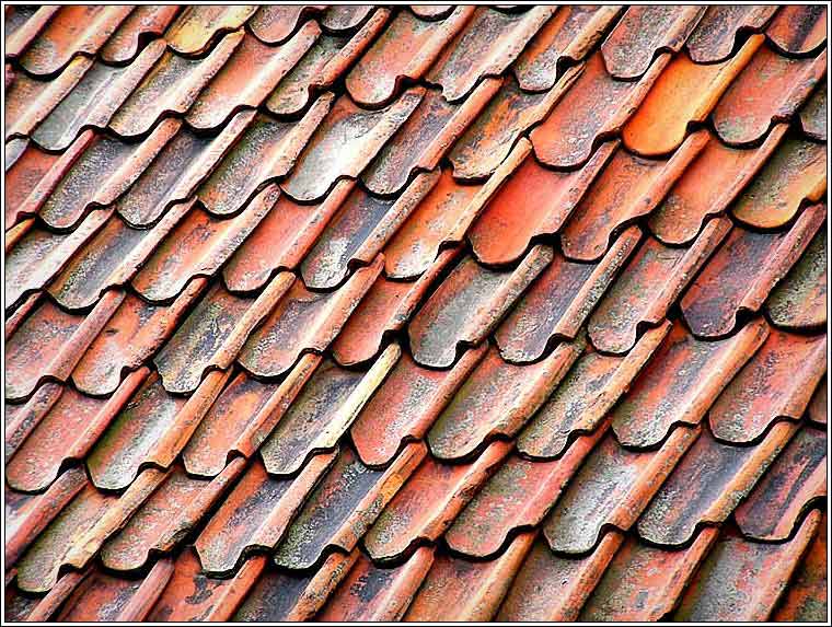 photo "Tile roof Stockholm" tags: misc., 