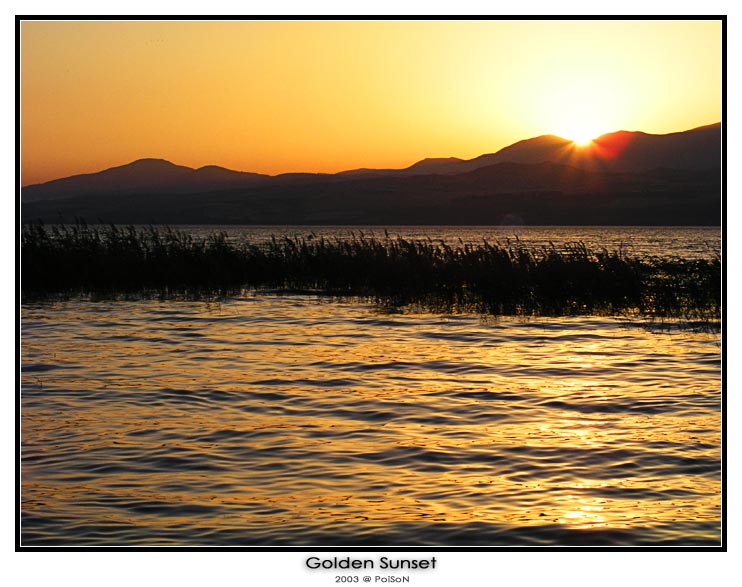 photo "Golden Sunset" tags: landscape, sunset, water