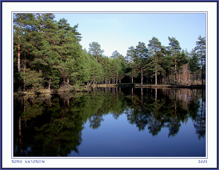 photo "Wood mirror" tags: landscape, forest, water