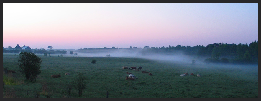 фото "Early Morning Pastorale" метки: пейзаж, 