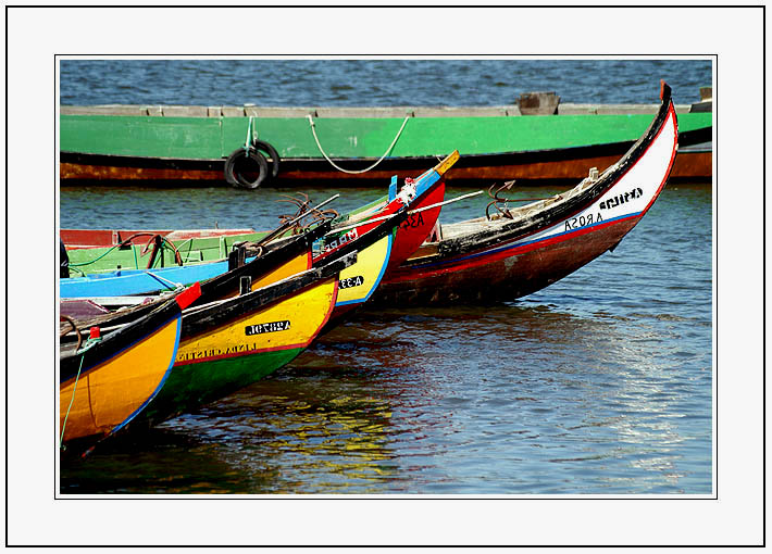 photo "The Party of the Boats" tags: landscape, water