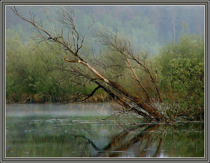 photo "Mermaid`s place" tags: landscape, summer, water