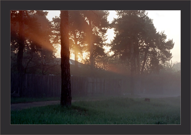 photo "Fogs moring" tags: landscape, sunset