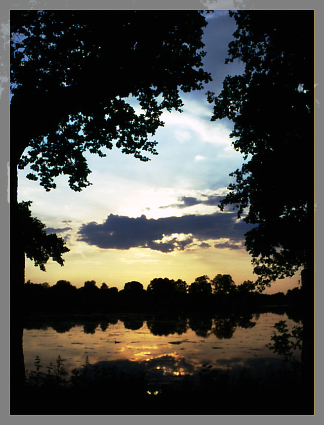 фото "Pond of Gold" метки: пейзаж, вода, закат