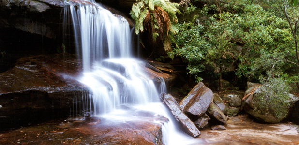 photo "somersby falls" tags: landscape, forest, water