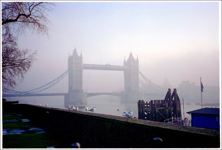 photo "London fog 1994 - 059 frs" tags: landscape, architecture, winter