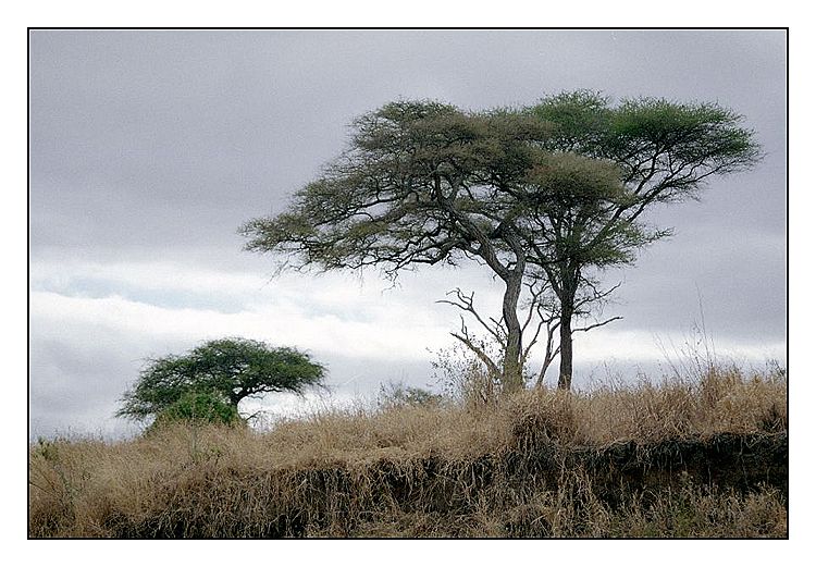 photo "***" tags: landscape, travel, Africa, winter